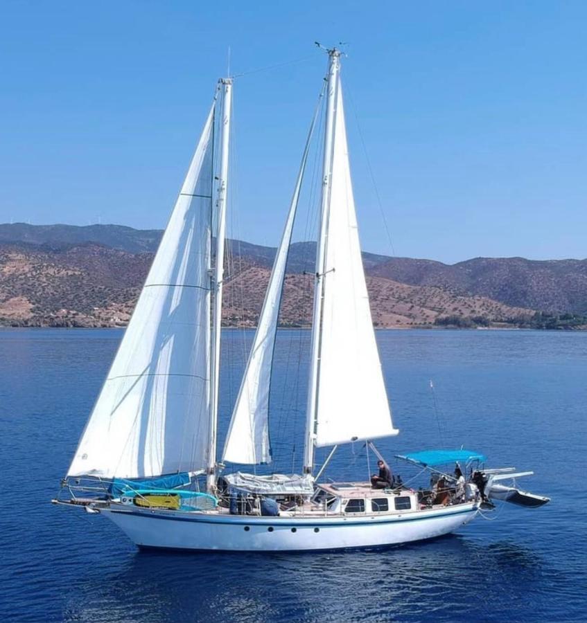 Fantastico Velero En Barcelona Hotel Sant Adria de Besos Luaran gambar